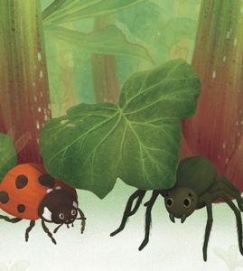 spider and ladybug